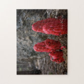 Puzzle Fleurs de Neige (Vertical)