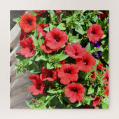 Puzzle Fleurs de pétunia rouge (Horizontal)