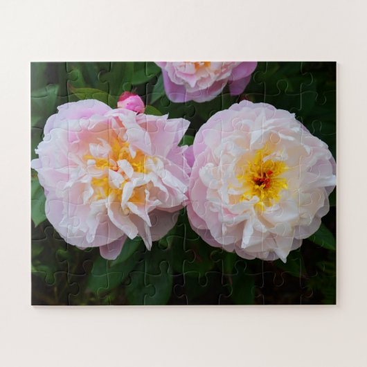Puzzle Fleurs de pivoine (Horizontal)