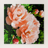 Puzzle Fleurs de pivoine couleur pêche (Horizontal)