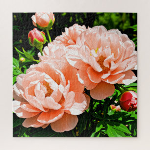 Puzzle Fleurs de pivoine couleur pêche 