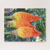 Puzzle Fleurs de poker chaud rouge (Horizontal)