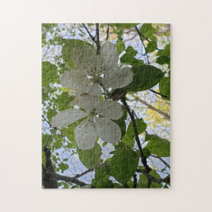 Puzzle fleurs de pommes