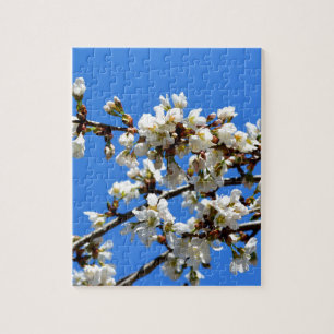 Puzzle fleurs de printemps