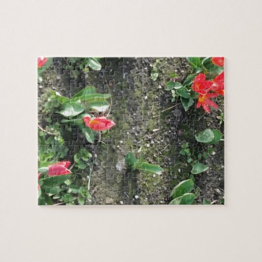 Puzzle fleurs de printemps rouges dans le parc (Horizontal)