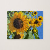 Puzzle Fleurs de soleil (Horizontal)