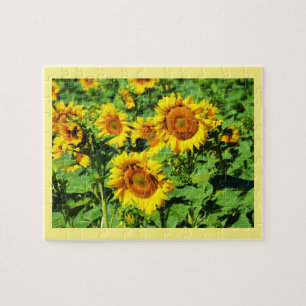 Puzzle Fleurs de soleil