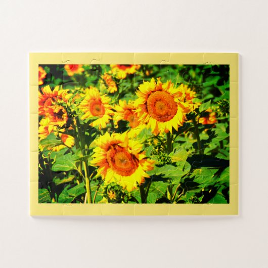 Puzzle Fleurs de soleil (Horizontal)