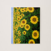 Puzzle Fleurs de soleil à Fargo, Dakota du Nord (Vertical)