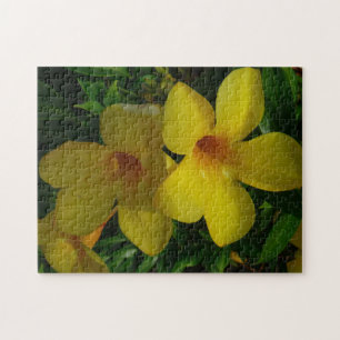 Puzzle Fleurs de trompette d'or II Tropical