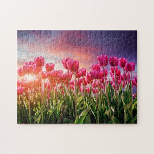 Puzzle Fleurs de tulipe rose Coucher de soleil Nature Pay (Horizontal)