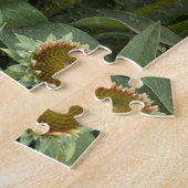 Puzzle Fleurs d'Echinacea rose et abeilles magnifiques (Côté)