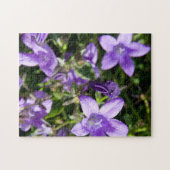 Puzzle Fleurs d'été. Jigsaws (Horizontal)