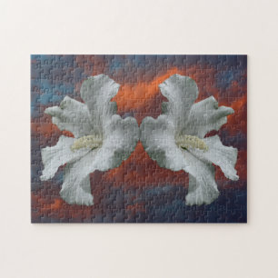 Puzzle Fleurs D'Hibiscus Blanches Sur Un Ciel Dramatique