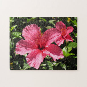 Puzzle - Fleurs d'Hibiscus rose (2)