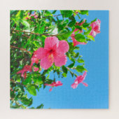 Puzzle - Fleurs d'Hibiscus roses (Horizontal)