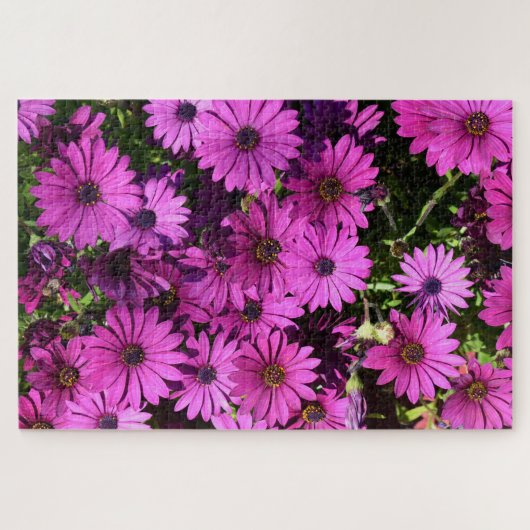 Puzzle Fleurs d'ostéospermum pourpres (Horizontal)
