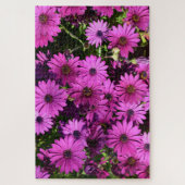 Puzzle Fleurs d'ostéospermum pourpres (Vertical)