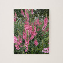 Fleurs du jardin de printemps