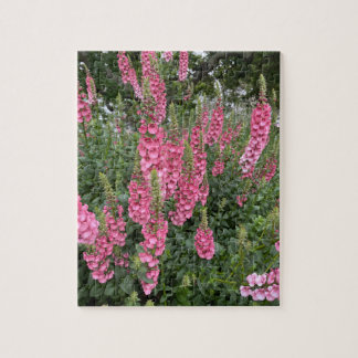 Puzzle Fleurs du jardin de printemps