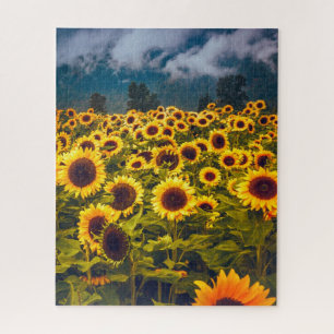 Puzzle Fleurs du paysage du terrain de tournesol Jaune
