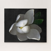 Puzzle Fleurs | Fleur de Magnolia blanc unique (Horizontal)