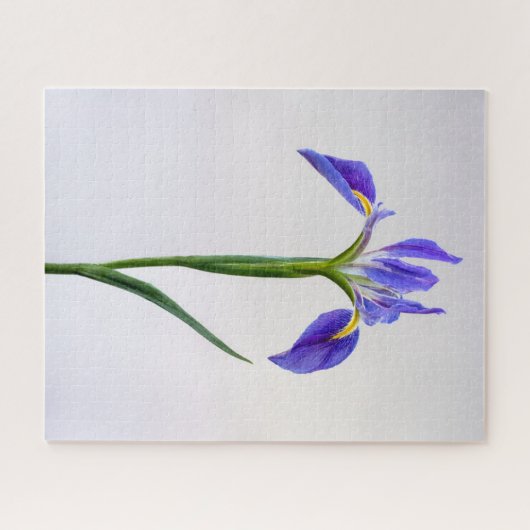 Puzzle Fleurs | Fleur Iris Violet (Horizontal)