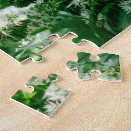 Puzzle Fleurs | Fleurs sauvages blancs en forêt (Côté)