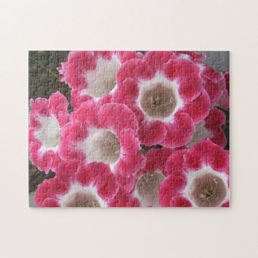 Puzzle Fleurs gloxiniques rouges et blanches. (Horizontal)