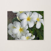 Puzzle Fleurs Hawaii Plumeria (Horizontal)