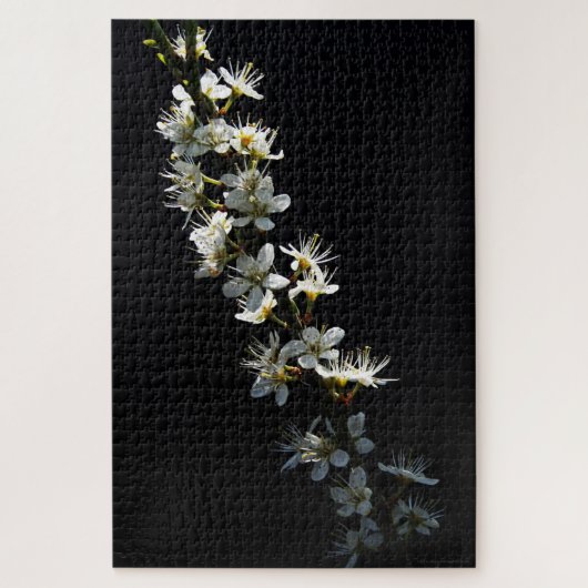 Puzzle Fleurs Hawthorn 20x30 1014pc jpcnm (Vertical)