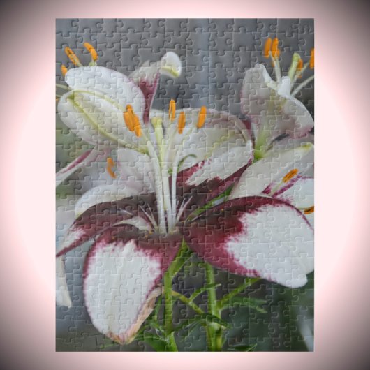 Puzzle Fleurs Lily Maroon Blanc Photographie botanique