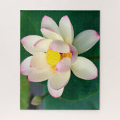Puzzle Fleurs | Lotus Water Flower (Vertical)
