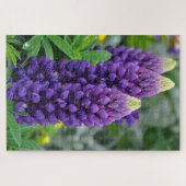 Puzzle Fleurs lupines violettes (Horizontal)