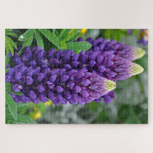 Puzzle Fleurs lupines violettes (Horizontal)