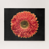 Puzzle Fleurs | Orange Gerbera Daisy (Horizontal)