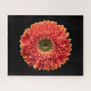 Puzzle Fleurs Orange Gerbera Daisy
