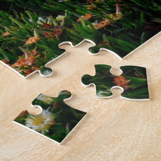 Puzzle Fleurs | Père Noël Cruz Californie (Côté)