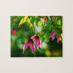 Puzzle Fleurs plantes luxuriantes et violettes