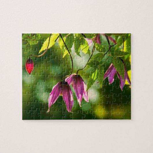 Puzzle Fleurs plantes luxuriantes et violettes (Horizontal)
