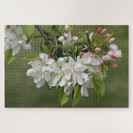 Puzzle Fleurs roses (Horizontal)