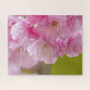 Puzzle Fleurs roses Belle coloration