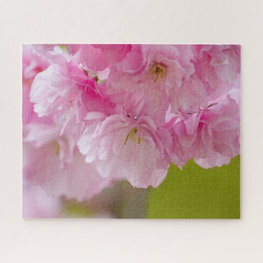 Puzzle Fleurs roses Belle coloration (Horizontal)