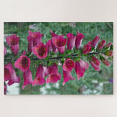 Puzzle Fleurs roses de renard (Horizontal)