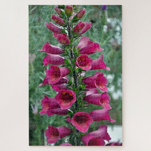 Puzzle Fleurs roses de renard (Vertical)