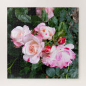 Puzzle Fleurs roses, Roses blanches rouges roses (Horizontal)
