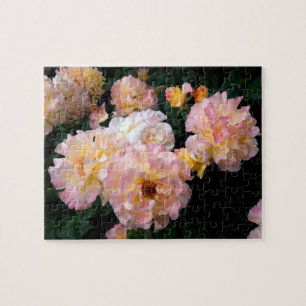 Puzzle Fleurs roses, Roses Jaunes Rose