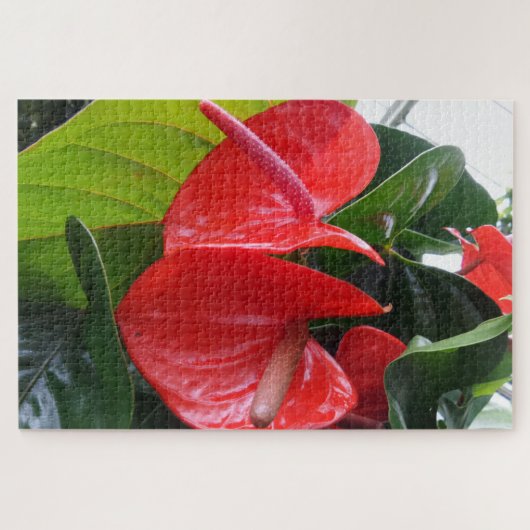 Puzzle Fleurs Rouges (Horizontal)