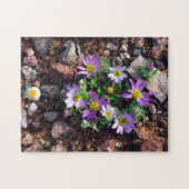 Puzzle Fleurs sauvages (Horizontal)