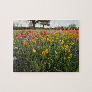 Puzzle Fleurs sauvages au bord de la route au Texas, prin